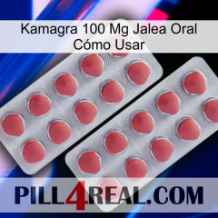 Kamagra 100 Mg Jalea Oral Cómo Usar 19